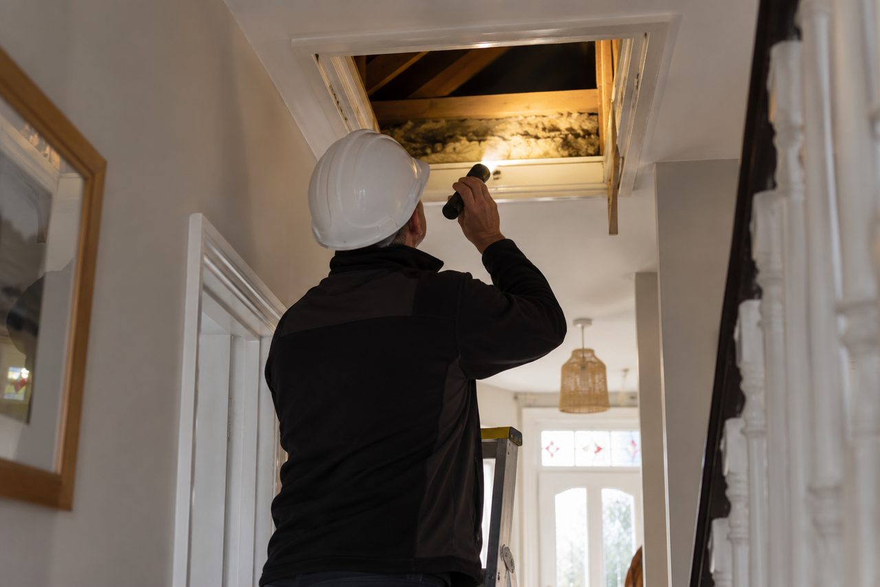 Domestic energy assessor in a hard hat seen from behind, shining a torch into a loft hatch of a British terraced house, ladder under the hat